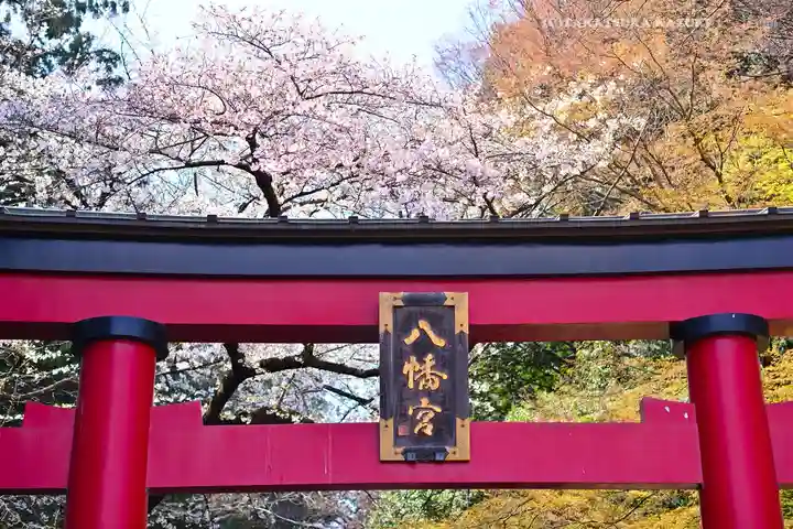 大宮八幡宮(東京都)