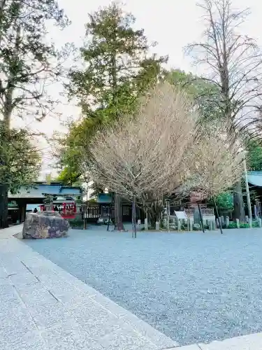 秩父神社の{uncategorized: "未分類", other: "その他", undefined: "問題あり", building: "その他建物", grave: "お墓", sacred_gate: "鳥居", guardian: "狛犬", statue: "像", buddha: "仏像", history: "歴史", nature: "自然", garden: "庭園", animal: "動物", pagoda: "塔", temizu: "手水舎", mountain_gate: "山門・神門", sanctuary: "本殿・本堂", subordinate: "末社・摂社", art: "芸術", scenery: "景色", jizo: "地蔵", ema: "絵馬", goshuin: "御朱印", omikuji: "おみくじ", items: "授与品その他", amulet: "お守り", goshuincho: "御朱印帳", eats: "食事", festival: "お祭り", votive_dance: "神楽", shichigosan: "七五三参", wedding: "結婚式", experience: "体験その他", initially: "初詣", around: "周辺", anti_infection: "感染症対策"}