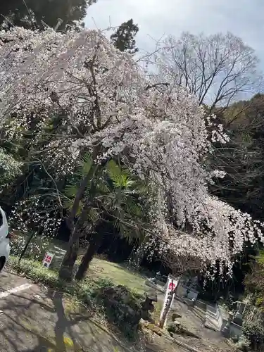 龍福寺(岐阜県)