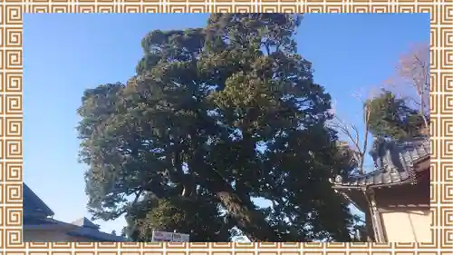 九重神社(埼玉県)