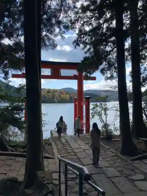 箱根神社の鳥居