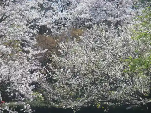 鶴岡八幡宮の庭園