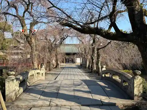 三嶋大社(静岡県)