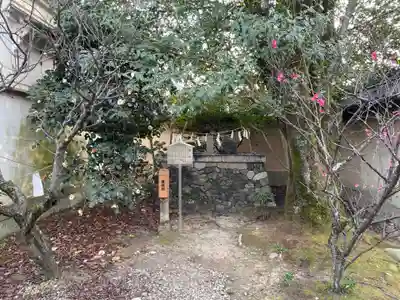 梅宮大社(京都府)