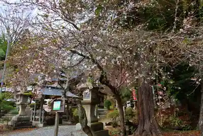 鹿島大神宮の自然