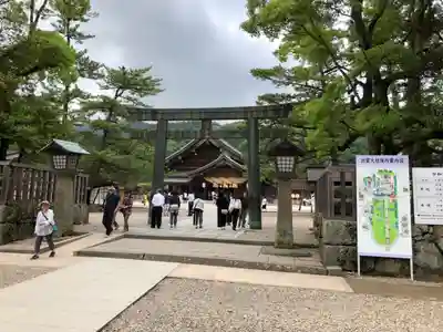 出雲大社の鳥居
