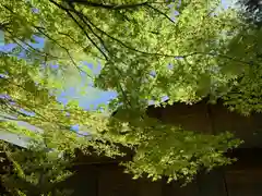 滑川神社 - 仕事と子どもの守り神(福島県)