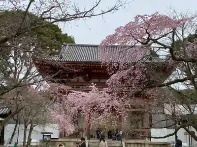 醍醐寺の山門・神門