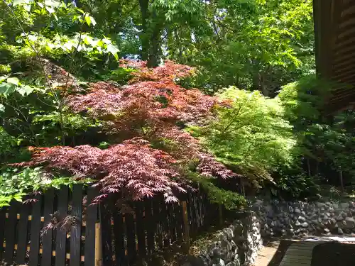 平塚八幡宮(神奈川県)