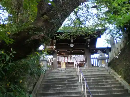 鷲尾愛宕神社の山門