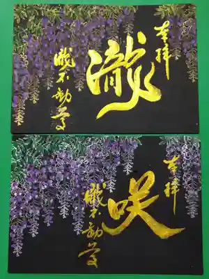黒地に藤の御朱印です。