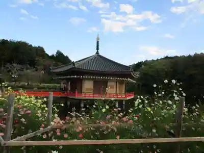 安倍文殊院 (奈良県)