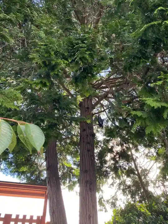 沖田神社(岡山県)