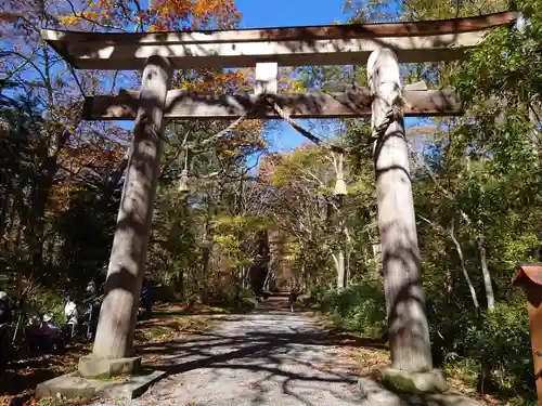 戸隠神社奥社の鳥居