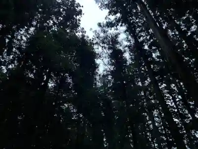 大宮温泉神社(栃木県)