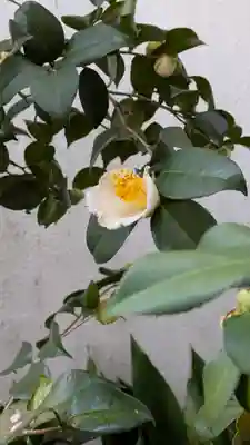 誓願寺(京都府)