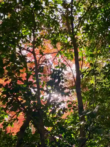 野宮神社(京都府)