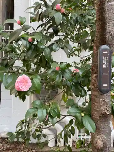 花園神社の自然
