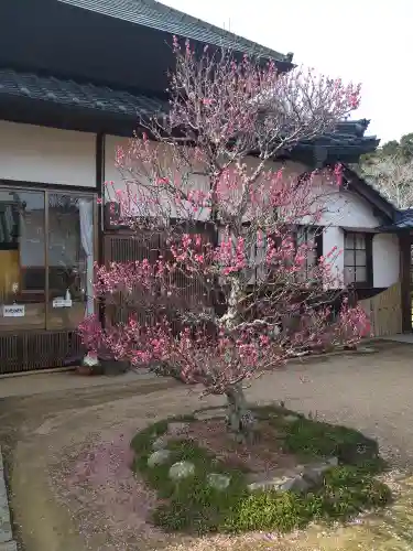 観照寺の庭園