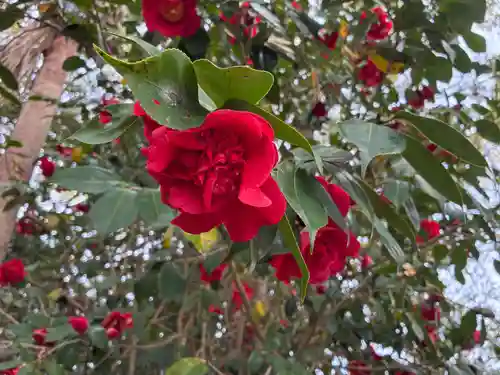 人丸神社(徳島県)