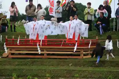 高屋敷稲荷神社のお祭り