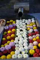  岳温泉神社 の手水