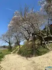 高屋敷稲荷神社(福島県)