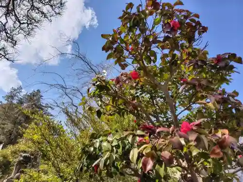 豊景神社(福島県)