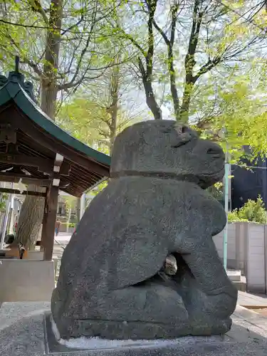 穏田神社の狛犬