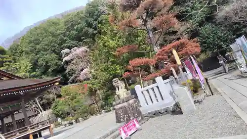 出雲大神宮(京都府)