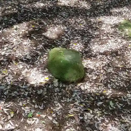 沼尾神社の自然