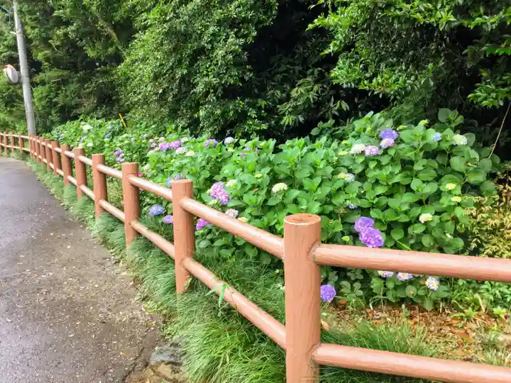 櫻木神社の自然