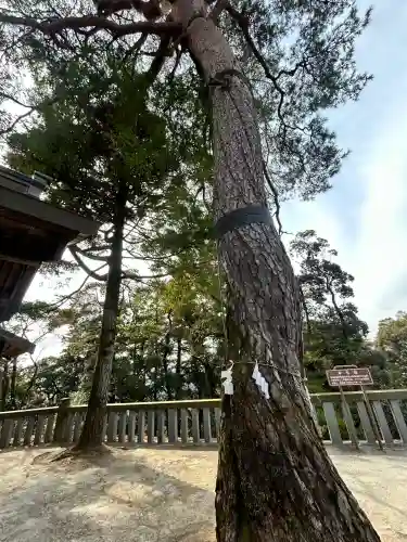 唐澤山神社(栃木県)