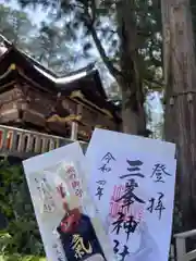 三峯神社(埼玉県)