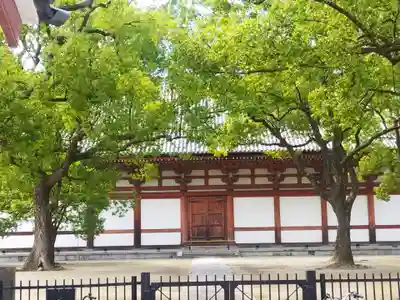 東寺（教王護国寺）(京都府)