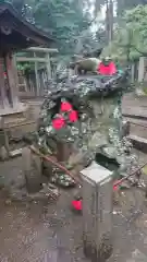 根津神社の狛犬