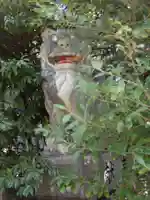 意賀美神社の狛犬