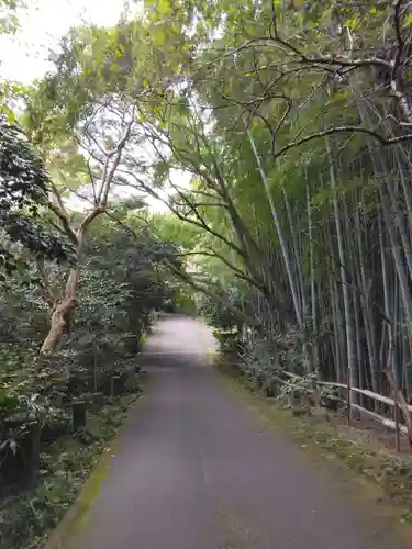 護念寺(神奈川県)