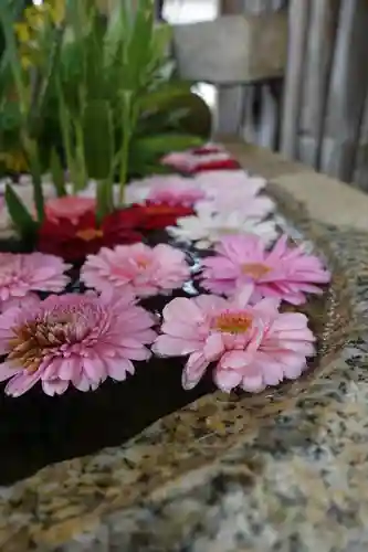 北野天満宮の手水舎