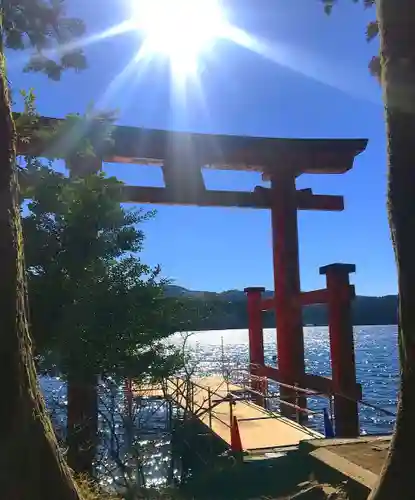 箱根神社の鳥居