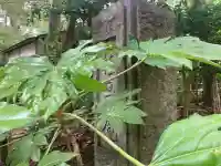 桂昌庵(神奈川県)