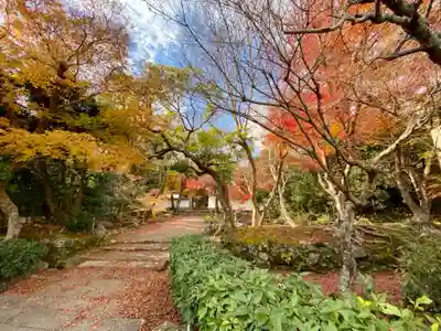 地蔵院のその他建物