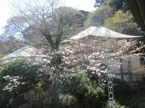 長勝寺の景色