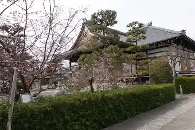 妙蓮寺の本殿・本堂