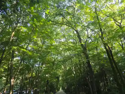 河合神社(鴨川合坐小社宅神社)(京都府)