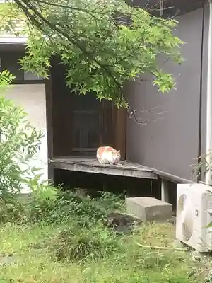 太興院の動物