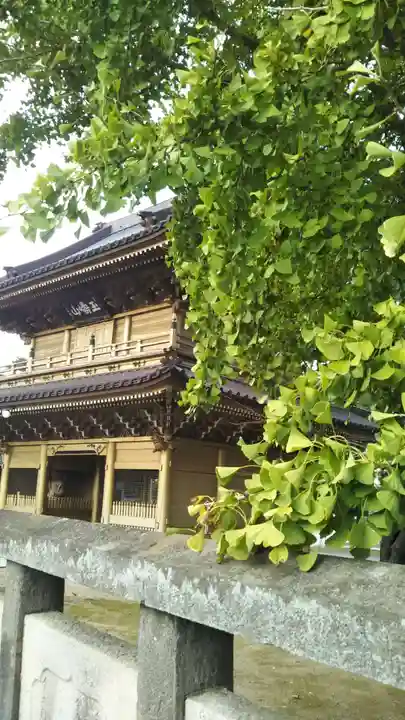総願寺の本殿・本堂