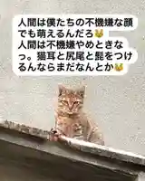 専念寺(大阪府)