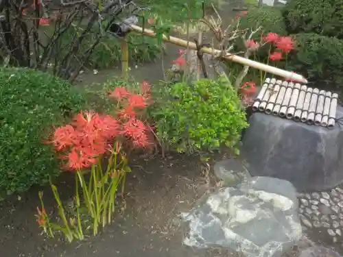 九品寺の手水舎