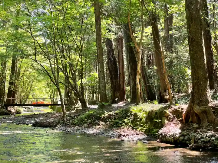 小國神社の{uncategorized: "未分類", other: "その他", undefined: "問題あり", building: "その他建物", grave: "お墓", sacred_gate: "鳥居", guardian: "狛犬", statue: "像", buddha: "仏像", history: "歴史", nature: "自然", garden: "庭園", animal: "動物", pagoda: "塔", temizu: "手水舎", mountain_gate: "山門・神門", sanctuary: "本殿・本堂", subordinate: "末社・摂社", art: "芸術", scenery: "景色", jizo: "地蔵", ema: "絵馬", goshuin: "御朱印", omikuji: "おみくじ", items: "授与品その他", amulet: "お守り", goshuincho: "御朱印帳", eats: "食事", festival: "お祭り", votive_dance: "神楽", shichigosan: "七五三参", wedding: "結婚式", experience: "体験その他", initially: "初詣", around: "周辺", anti_infection: "感染症対策"}